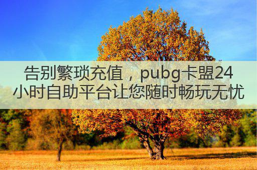 告别繁琐充值,pubg卡盟24小时自助平台让您随时畅玩无忧
