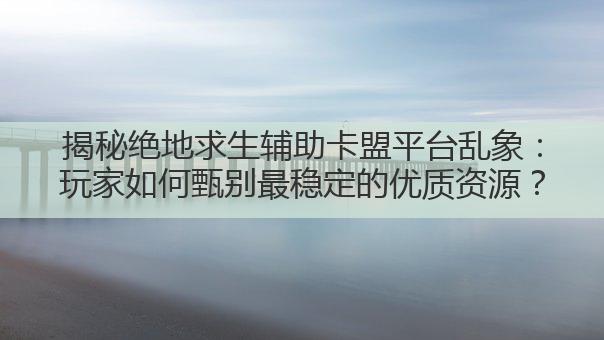 揭秘绝地求生辅助卡盟平台乱象：玩家如何甄别最稳定的优质资源？