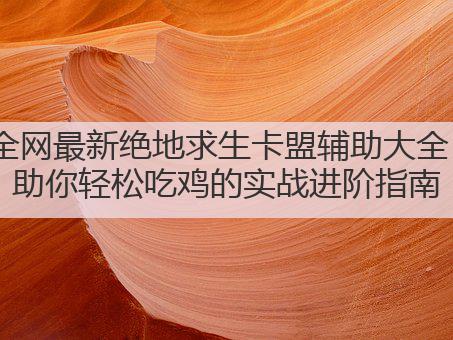 全网最新绝地求生卡盟辅助大全：助你轻松吃鸡的实战进阶指南