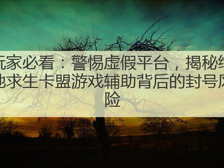玩家必看:警惕虚假平台,揭秘绝地求生卡盟游戏辅助背后的封号风险