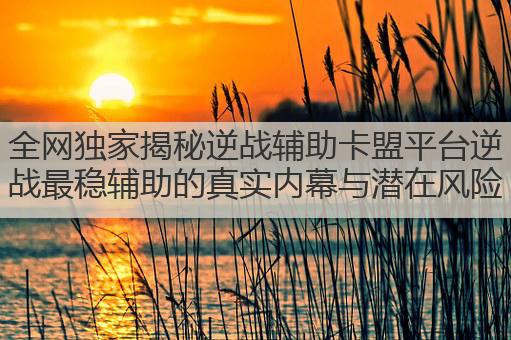 全网独家揭秘逆战辅助卡盟平台逆战最稳辅助的真实内幕与潜在风险