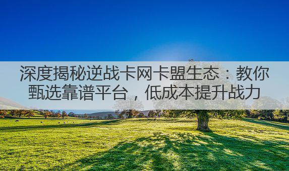 深度揭秘逆战卡网卡盟生态：教你甄选靠谱平台，低成本提升战力
