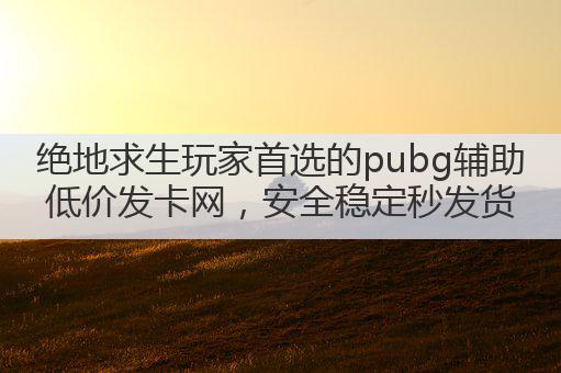 绝地求生玩家首选的pubg辅助低价发卡网,安全稳定秒发货