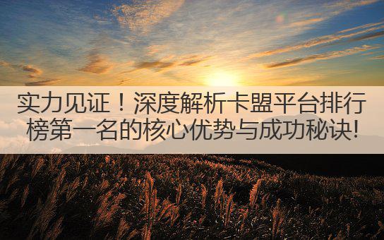 实力见证！深度解析卡盟平台排行榜第一名的核心优势与成功秘诀!