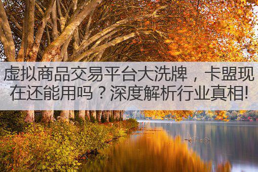 虚拟商品交易平台大洗牌,卡盟现在还能用吗?深度解析行业真相!
