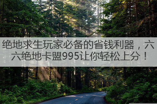 绝地求生玩家必备的省钱利器,六六绝地卡盟995让你轻松上分!