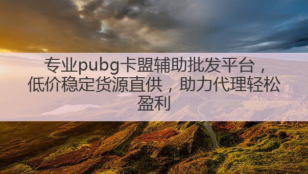 专业pubg卡盟辅助批发平台，低价稳定货源直供，助力代理轻松盈利