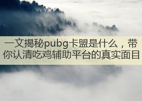 一文揭秘pubg卡盟是什么,带你认清吃鸡辅助平台的真实面目