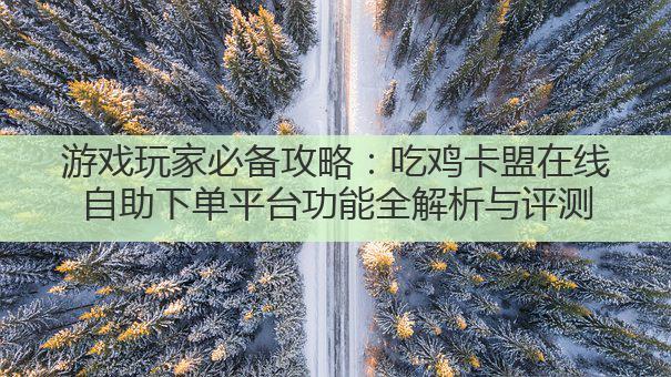 游戏玩家必备攻略:吃鸡卡盟在线自助下单平台功能全解析与评测
