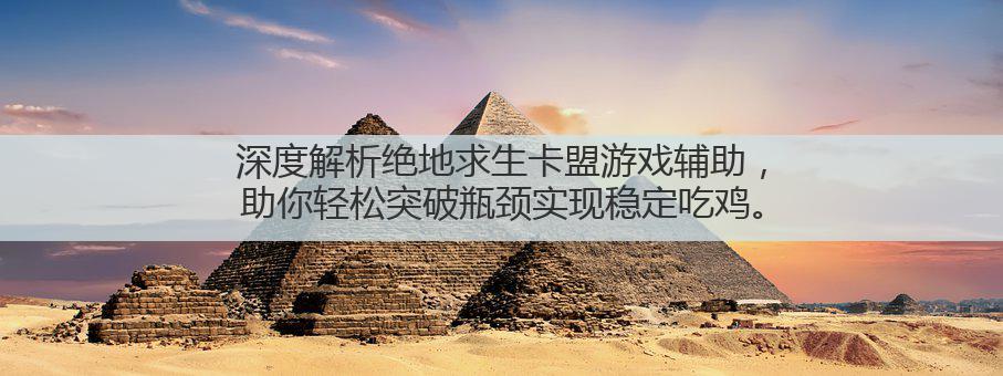 深度解析绝地求生卡盟游戏辅助,助你轻松突破瓶颈实现稳定吃鸡。
