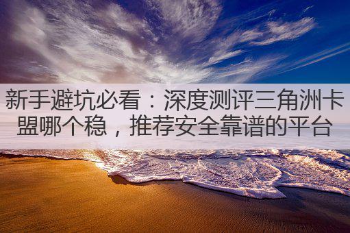 新手避坑必看:深度测评三角洲卡盟哪个稳,推荐安全靠谱的平台