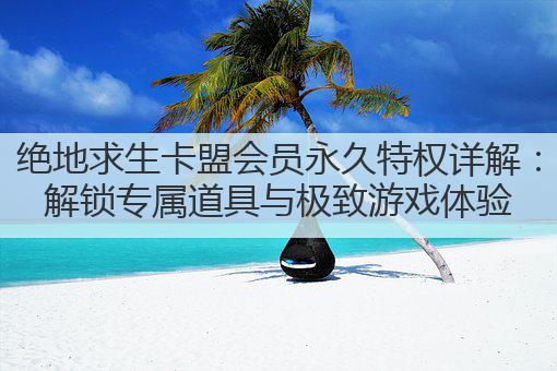 绝地求生卡盟会员永久特权详解:解锁专属道具与极致游戏体验