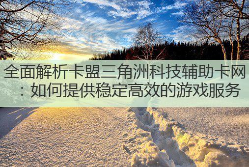 全面解析卡盟三角洲科技辅助卡网:如何提供稳定高效的游戏服务
