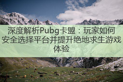 深度解析Pubg卡盟：玩家如何安全选择平台并提升绝地求生游戏体验