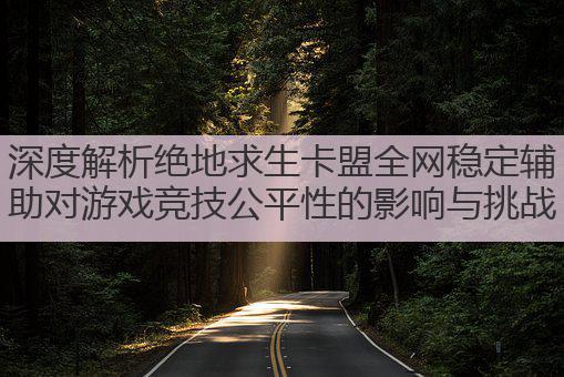 深度解析绝地求生卡盟全网稳定辅助对游戏竞技公平性的影响与挑战