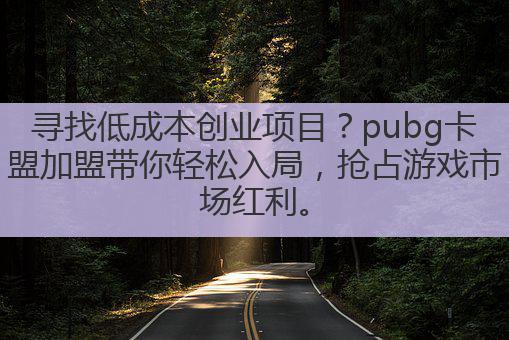寻找低成本创业项目？pubg卡盟加盟带你轻松入局，抢占游戏市场红利。