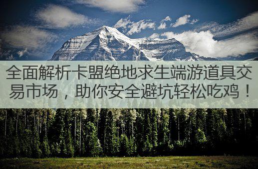 全面解析卡盟绝地求生端游道具交易市场,助你安全避坑轻松吃鸡!
