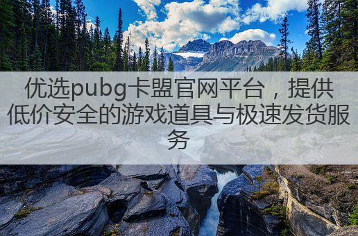 优选pubg卡盟官网平台,提供低价安全的游戏道具与极速发货服务
