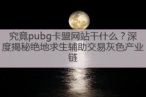 究竟pubg卡盟网站干什么?深度揭秘绝地求生辅助交易灰色产业链