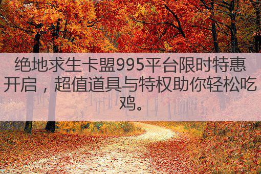 绝地求生卡盟995平台限时特惠开启,超值道具与特权助你轻松吃鸡。