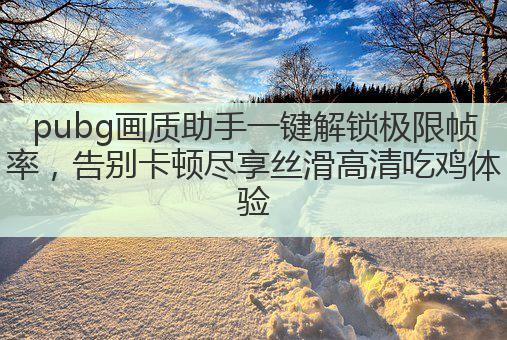 pubg画质助手一键解锁极限帧率，告别卡顿尽享丝滑高清吃鸡体验