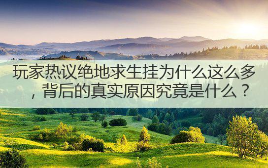 玩家热议绝地求生挂为什么这么多，背后的真实原因究竟是什么？