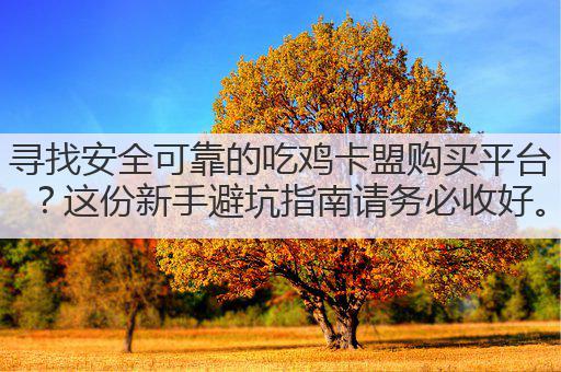 寻找安全可靠的吃鸡卡盟购买平台?这份新手避坑指南请务必收好。