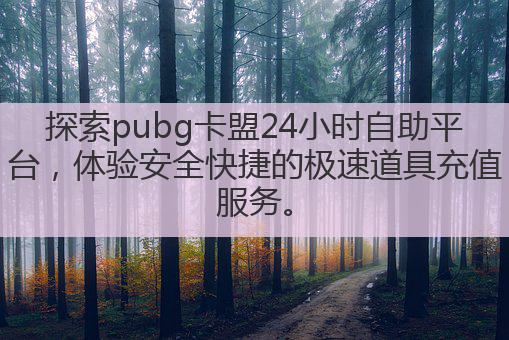 探索pubg卡盟24小时自助平台，体验安全快捷的极速道具充值服务。