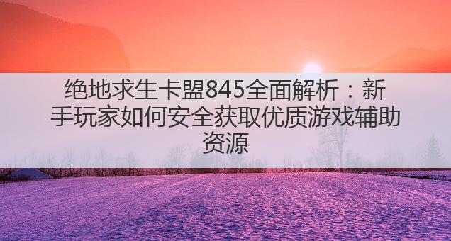 绝地求生卡盟845全面解析:新手玩家如何安全获取优质游戏辅助资源