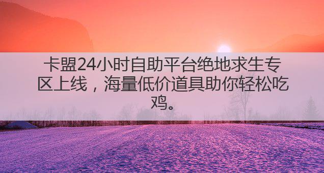 卡盟24小时自助平台绝地求生专区上线，海量低价道具助你轻松吃鸡。