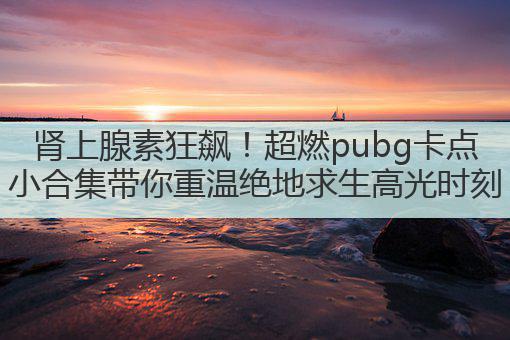 肾上腺素狂飙！超燃pubg卡点小合集带你重温绝地求生高光时刻