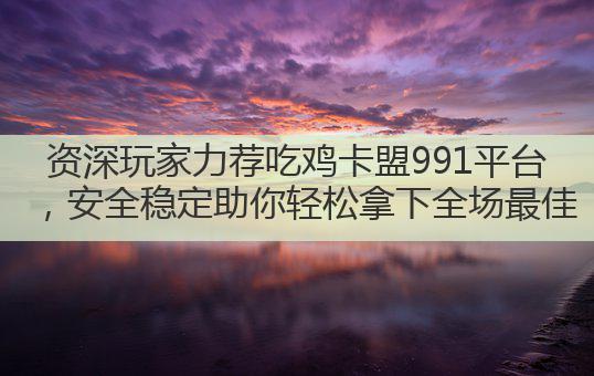资深玩家力荐吃鸡卡盟991平台，安全稳定助你轻松拿下全场最佳