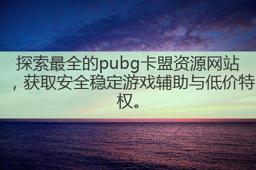 探索最全的pubg卡盟资源网站,获取安全稳定游戏辅助与低价特权。