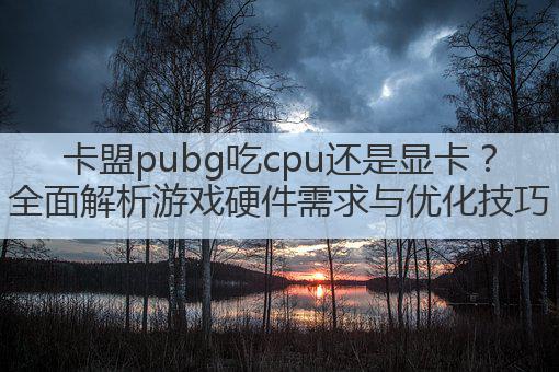 卡盟pubg吃cpu还是显卡?全面解析游戏硬件需求与优化技巧
