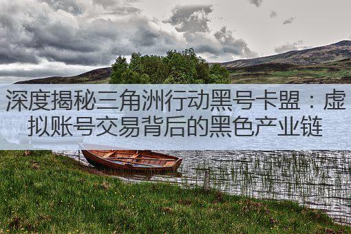 深度揭秘三角洲行动黑号卡盟:虚拟账号交易背后的黑色产业链