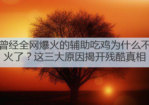 曾经全网爆火的辅助吃鸡为什么不火了?这三大原因揭开残酷真相