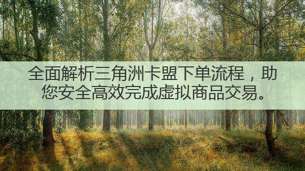 全面解析三角洲卡盟下单流程,助您安全高效完成虚拟商品交易。