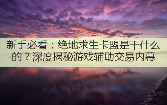 新手必看:绝地求生卡盟是干什么的?深度揭秘游戏辅助交易内幕