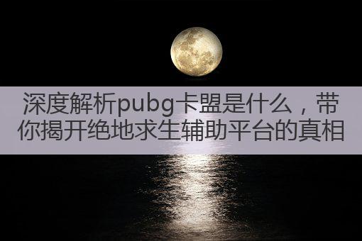深度解析pubg卡盟是什么,带你揭开绝地求生辅助平台的真相