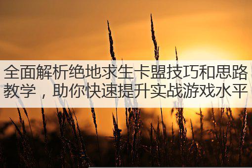 全面解析绝地求生卡盟技巧和思路教学,助你快速提升实战游戏水平