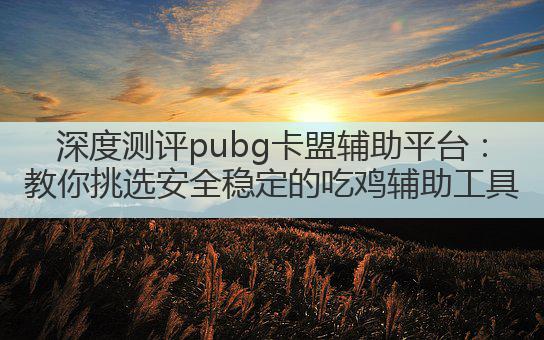 深度测评pubg卡盟辅助平台：教你挑选安全稳定的吃鸡辅助工具
