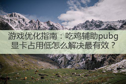 游戏优化指南:吃鸡辅助pubg显卡占用低怎么解决最有效?